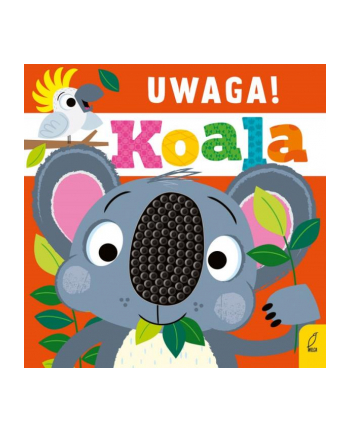 foksal Książka Uwaga. Koala !