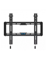 neomounts by newstar Uchwyt ścienny WL35-550BL14  32-65 cali - nr 115