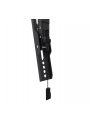 neomounts by newstar Uchwyt ścienny WL35-550BL14  32-65 cali - nr 119