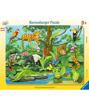 Puzzle 11el Co tu pasuje? Zwierzat deszczowego lasu 051403 RAVENSBURGER
