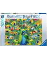 Puzzle 2000el Pawia kraina 165674 RAVENSBURGER - nr 1