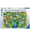 Puzzle 2000el Pawia kraina 165674 RAVENSBURGER - nr 2