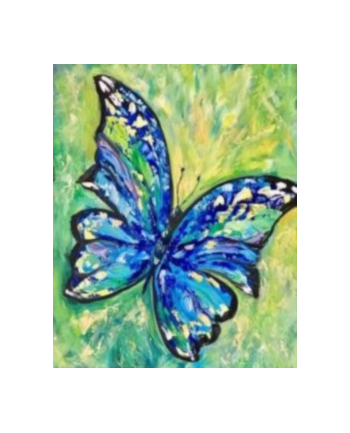 norimpex Malowanie po numerach Motyl niebieski 40 x 50 5574