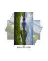 dell Monitor P2723QE 27 cali IPS LED 4K  (3840x2160)/16:9/HDMI/DP/USB-C/4xUSB 3.2 /RJ45/3Y AES - nr 53