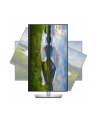 dell Monitor P2723QE 27 cali IPS LED 4K  (3840x2160)/16:9/HDMI/DP/USB-C/4xUSB 3.2 /RJ45/3Y AES - nr 68