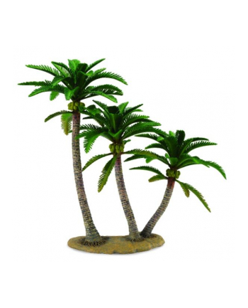 Drzewo palmowe 89663 COLLECTA