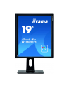 iiyama Monitor 19 cali B1980D-B1 DVI/VGA/5:4/PIVOT/HAS/ACR/VESA - nr 14