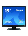 iiyama Monitor 19 cali ProLite E1980D-B1 VGA,DVI,5:4,TN,5ms,250cd - nr 12