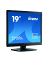 iiyama Monitor 19 cali ProLite E1980D-B1 VGA,DVI,5:4,TN,5ms,250cd - nr 13