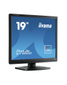 iiyama Monitor 19 cali ProLite E1980D-B1 VGA,DVI,5:4,TN,5ms,250cd - nr 15