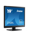 iiyama Monitor 19 cali ProLite E1980D-B1 VGA,DVI,5:4,TN,5ms,250cd - nr 21