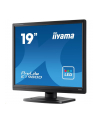 iiyama Monitor 19 cali ProLite E1980D-B1 VGA,DVI,5:4,TN,5ms,250cd - nr 22