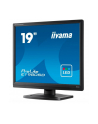 iiyama Monitor 19 cali ProLite E1980D-B1 VGA,DVI,5:4,TN,5ms,250cd - nr 7