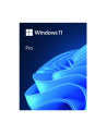 microsoft Windows Pro 11 PL Box 64bit USB HAV-00209 Zastępuje P/N: HAV-00126 - nr 2