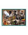 Puzzle 10w1 W świecie Harrego Pottera Warner Harry Potter 90392 Trefl - nr 4