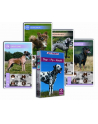 Animal Trumps Dogs p12 CARTAMUNDI - nr 1