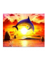 norimpex Malowanie po numerach Delfin na tle zachodu słońca 40 x 50cm 5552 - nr 1