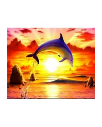 norimpex Malowanie po numerach Delfin na tle zachodu słońca 40 x 50cm 5552