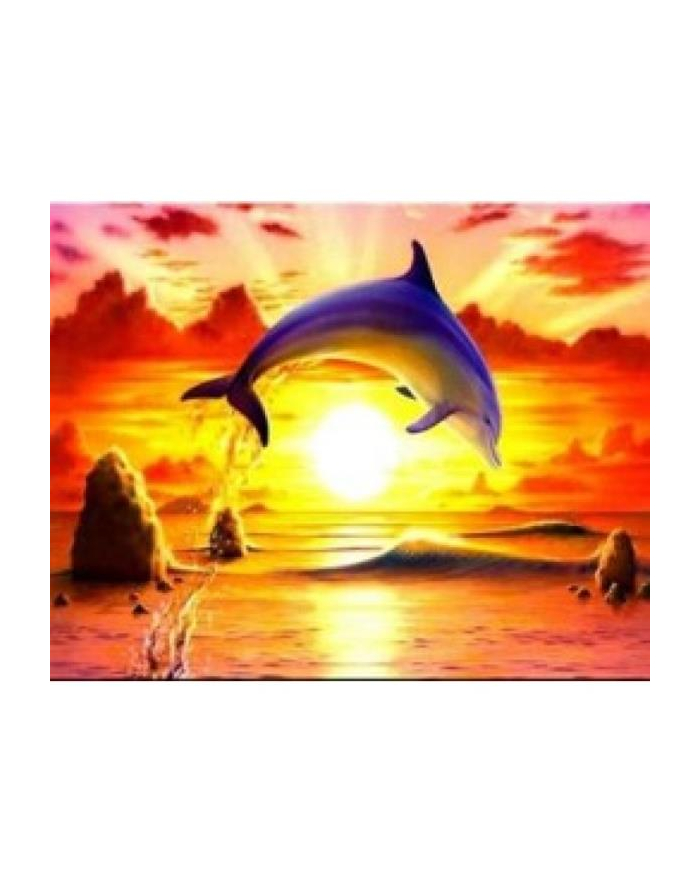 norimpex Malowanie po numerach Delfin na tle zachodu słońca 40 x 50cm 5552 główny