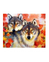 norimpex Malowanie po numerach Wilk i wilczyca wśród wiosennych liści 40 x 50cm 5553 - nr 1
