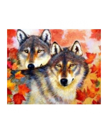 norimpex Malowanie po numerach Wilk i wilczyca wśród wiosennych liści 40 x 50cm 5553