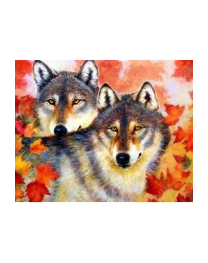 norimpex Malowanie po numerach Wilk i wilczyca wśród wiosennych liści 40 x 50cm 5553 główny