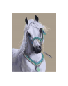 norimpex Malowanie po numerach Koń biały arab 40 x 50cm 5577 - nr 1