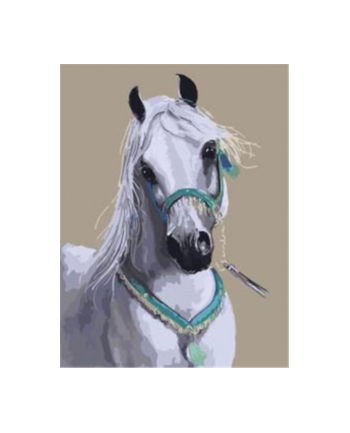 norimpex Malowanie po numerach Koń biały arab 40 x 50cm 5577