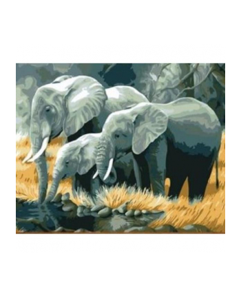 norimpex Malowanie po numerach Słonie rodzina nad rzeką 40 x 50cm 5589