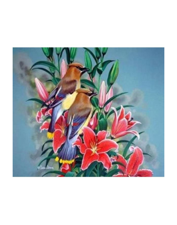 norimpex Malowanie po numerach Ptaszki na gałęzi 40 x 50 5644 główny