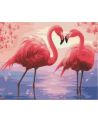 norimpex Malowanie po numerach Flamingi  40 x 50 5689 - nr 1