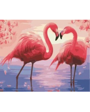 norimpex Malowanie po numerach Flamingi  40 x 50 5689