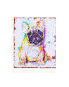 norimpex Malowanie po numerach Mops szczeniak 40 x 50cm 5708 - nr 1