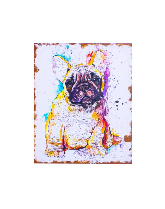 norimpex Malowanie po numerach Mops szczeniak 40 x 50cm 5708 główny