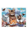 norimpex Malowanie po numerach 4 kotki z motylami 40 x 50cm 6374 - nr 1