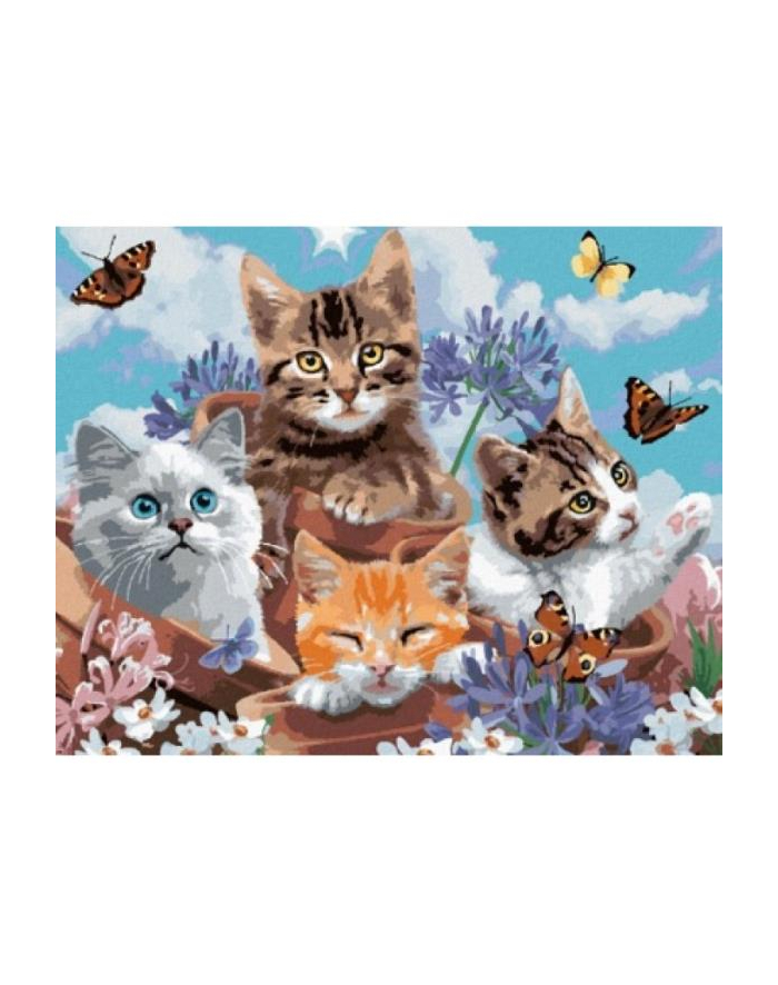 norimpex Malowanie po numerach 4 kotki z motylami 40 x 50cm 6374 główny