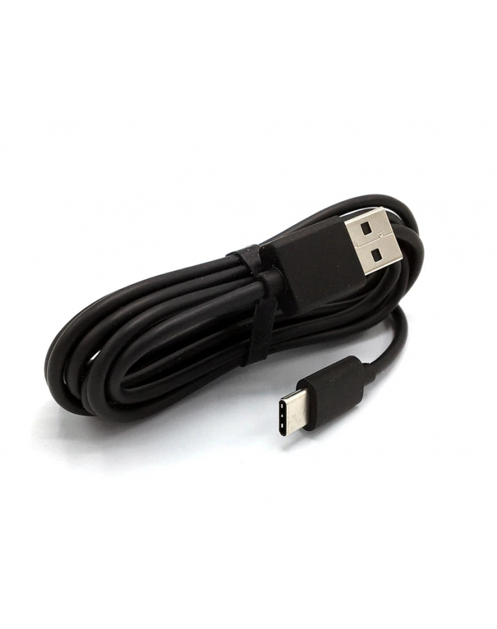 REALWEAR REALWEAR USB Type-C charging cable główny