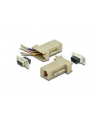 assmann electronic DIGITUS Adapter RS232/RJ45 MODULARNYny Typ DSUB9/RJ45 Ż/Ż - nr 8