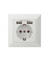 DIGITUS DA-70613 Safety Wall Outlet 2xUSB USB output total 5V 2.1A Input AC 250V 50Hz RAL 9003 - nr 3