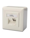 DIGITUS CAT 6A Class EA network outlet shielded 2x RJ45 LSA pure Kolor: BIAŁY surface mount vertical cable installation - nr 29