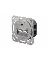 DIGITUS MODULARNY wall outlet 2xRJ45 Kolor: BIAŁY Cat6a fully shielded flush mount horizontal cable installation - nr 24