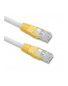 QOLTEC 50360 Cable Patchcord UTP CAT5 10m - nr 1