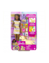 Barbie doll (brunette) with dog + puppies - HCK76 - nr 9