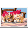 Malowanka CreArt dla dzieci: Dwa słodkie kotki 289387 RAVENSBURGER malowanie po numerach - nr 3