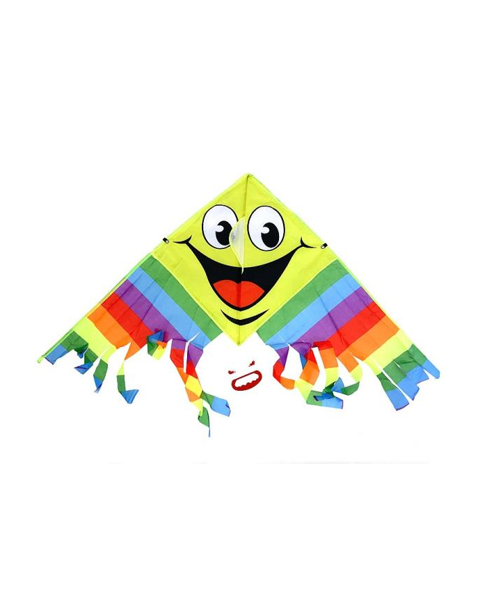Latawiec Adar 535657 główny