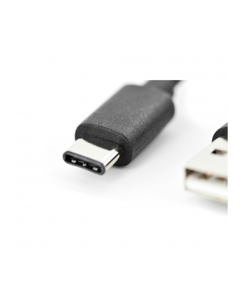 DIGITUS USB-C cable - 4 m (AK300148040S)