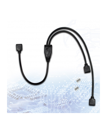 Inter-Tech Kabel RGB Verteiler 2-fach (88885465)