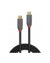 Lindy 36901 Usb 3.1 C 5A Pd Anthra Line 1M (Ly36901) - nr 22
