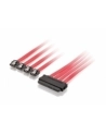 Equip SATA power supply cable (112050) - nr 3
