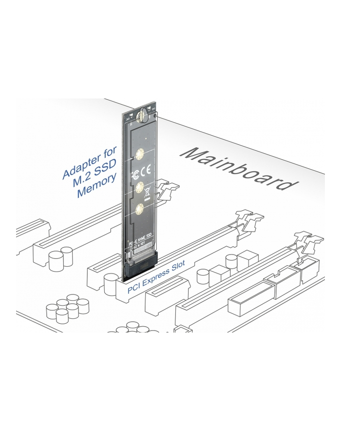 Delock karta PCI Express x1 - M.2 Key M wewnętrzna (64105) główny